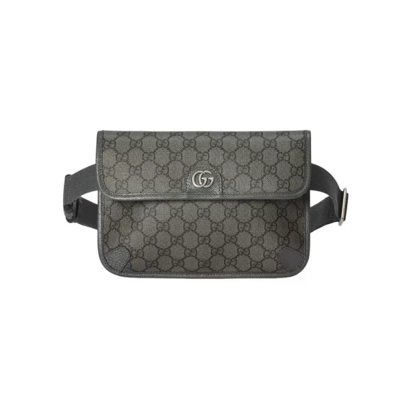 Gucci Ophidia Small Belt Bag - GL004