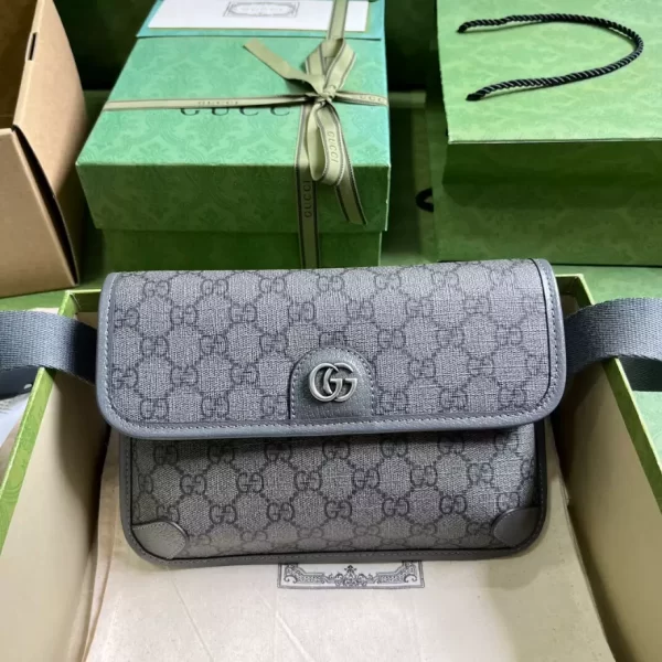 Gucci Ophidia Small Belt Bag - GL004