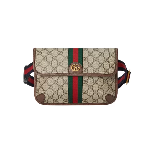 Gucci Ophidia Small Belt Bag - GL005