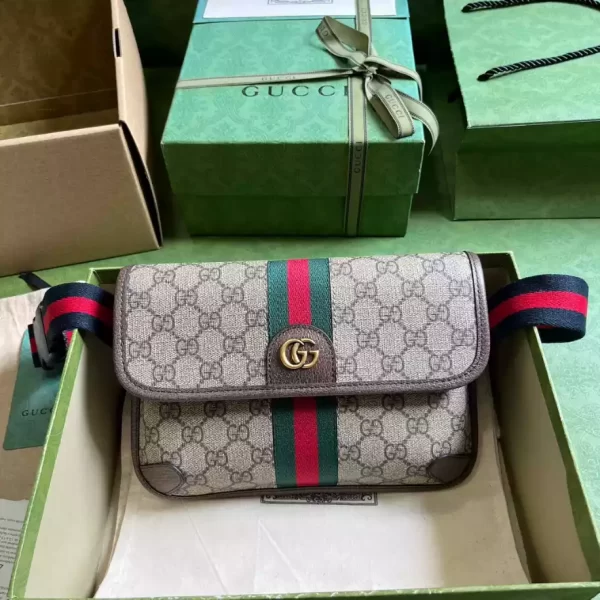 Gucci Ophidia Small Belt Bag - GL005