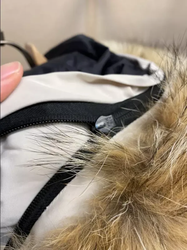 Canada Goose Jacket